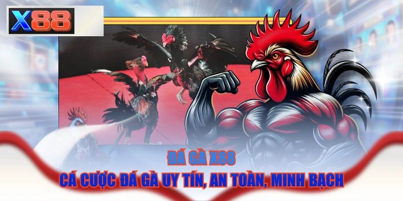 Đá Gà X88 - Cá Cược Đá Gà Uy Tín, An Toàn, Minh Bạch