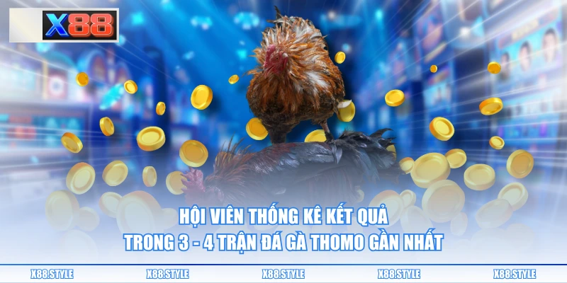 Hội viên thống kê kết quả trong 3 - 4 trận đá gà Thomo gần nhất