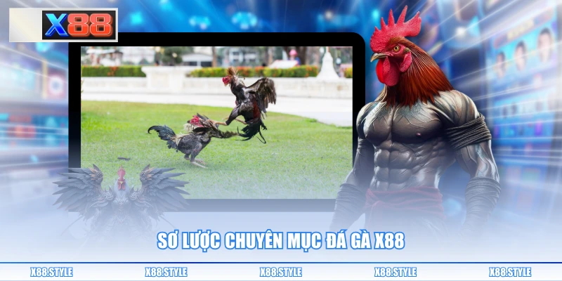 Sơ lược chuyên mục đá gà X88